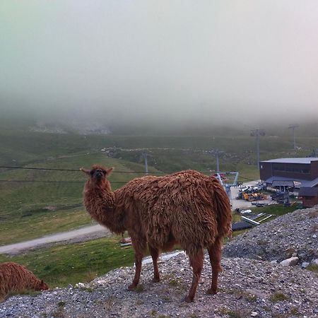 Le Petit Studio Du Tourmalet Pied Des Pistes - La Mongie Exteriér fotografie